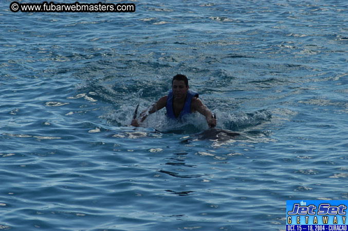 Sunday's Dolphin Swim Adventure and Animal Encounter 2004