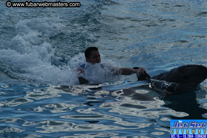 Sunday's Dolphin Swim Adventure and Animal Encounter 2004
