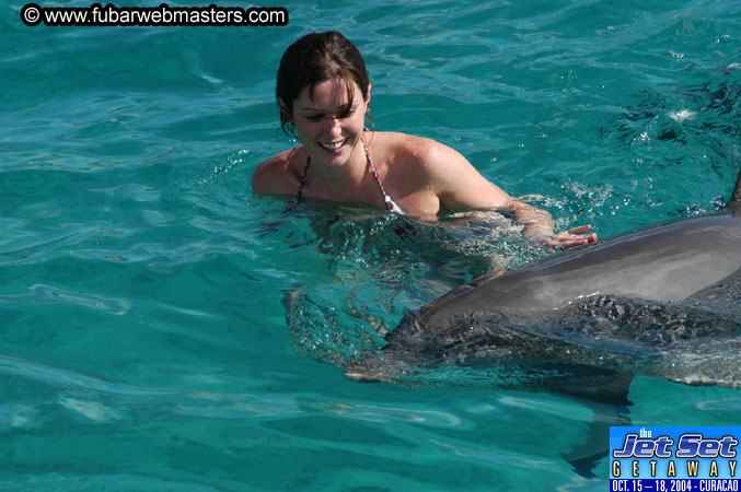 Sunday's Dolphin Swim Adventure and Animal Encounter 2004