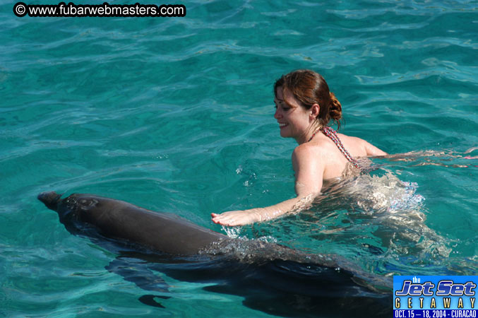 Sunday's Dolphin Swim Adventure and Animal Encounter 2004
