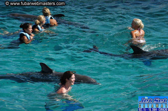 Sunday's Dolphin Swim Adventure and Animal Encounter 2004