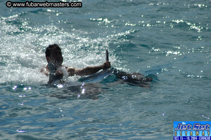 Sunday's Dolphin Swim Adventure and Animal Encounter 2004