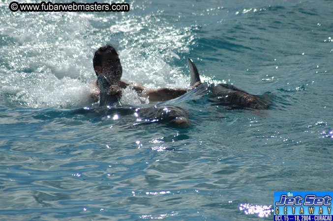 Sunday's Dolphin Swim Adventure and Animal Encounter 2004