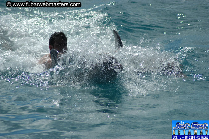 Sunday's Dolphin Swim Adventure and Animal Encounter 2004