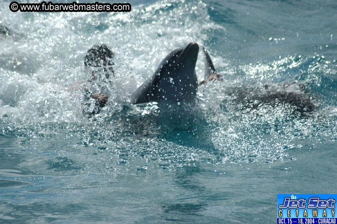 Sunday's Dolphin Swim Adventure and Animal Encounter 2004