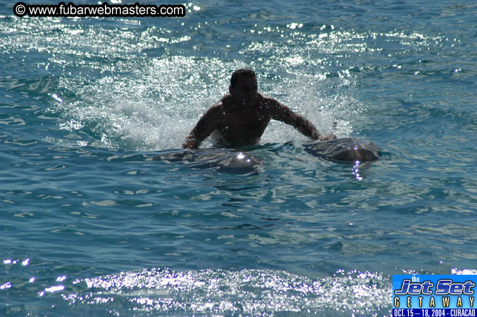 Sunday's Dolphin Swim Adventure and Animal Encounter 2004