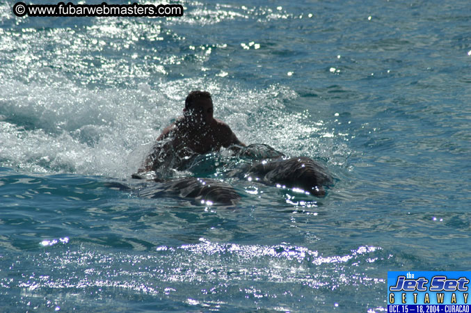 Sunday's Dolphin Swim Adventure and Animal Encounter 2004