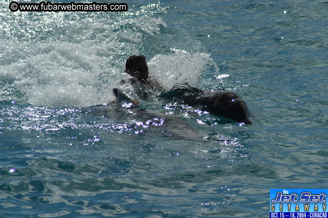 Sunday's Dolphin Swim Adventure and Animal Encounter 2004