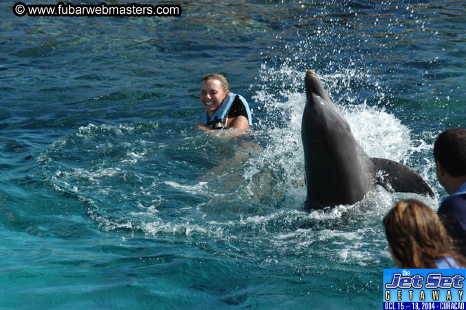Sunday's Dolphin Swim Adventure and Animal Encounter 2004