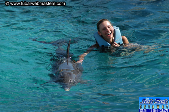 Sunday's Dolphin Swim Adventure and Animal Encounter 2004
