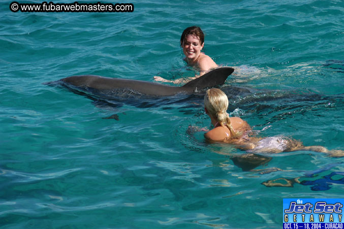 Sunday's Dolphin Swim Adventure and Animal Encounter 2004