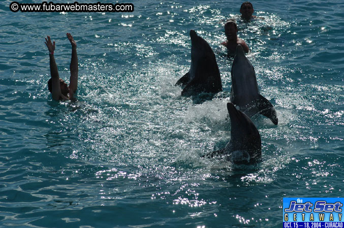 Sunday's Dolphin Swim Adventure and Animal Encounter 2004