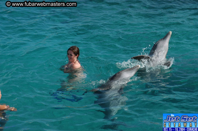 Sunday's Dolphin Swim Adventure and Animal Encounter 2004