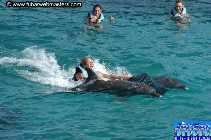 Sunday's Dolphin Swim Adventure and Animal Encounter 2004
