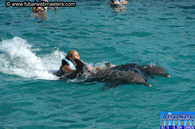 Sunday's Dolphin Swim Adventure and Animal Encounter 2004
