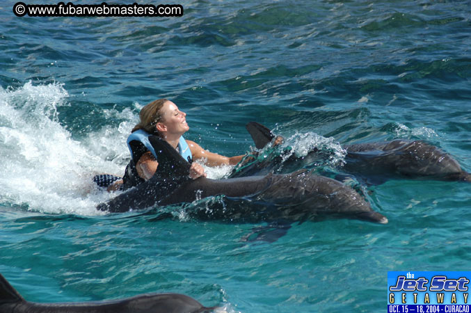 Sunday's Dolphin Swim Adventure and Animal Encounter 2004