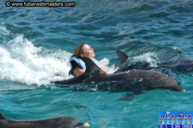 Sunday's Dolphin Swim Adventure and Animal Encounter 2004