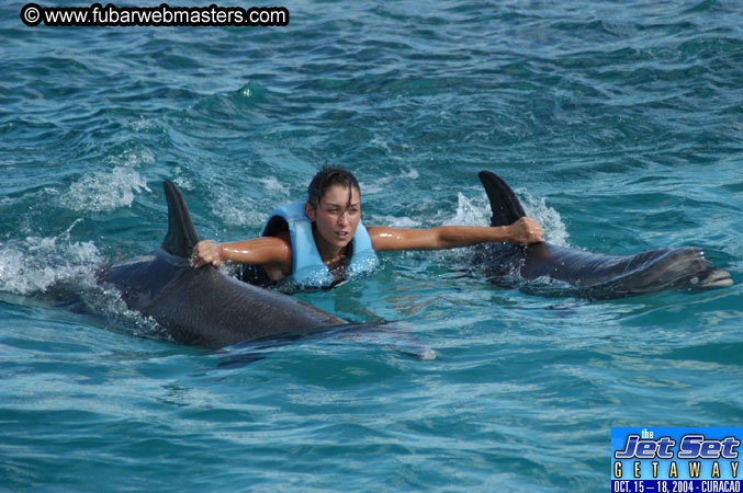 Sunday's Dolphin Swim Adventure and Animal Encounter 2004