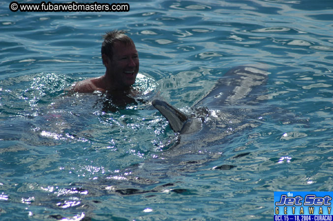 Sunday's Dolphin Swim Adventure and Animal Encounter 2004