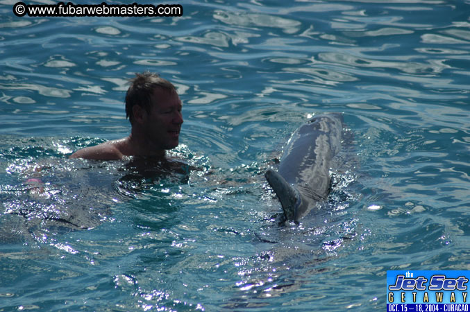 Sunday's Dolphin Swim Adventure and Animal Encounter 2004