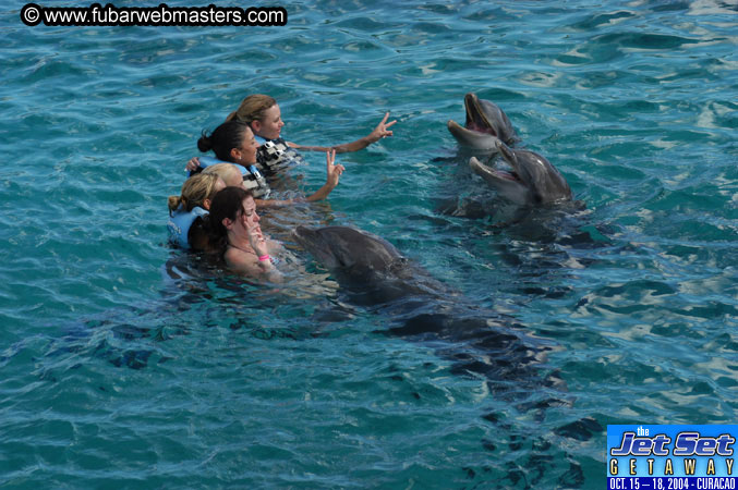 Sunday's Dolphin Swim Adventure and Animal Encounter 2004