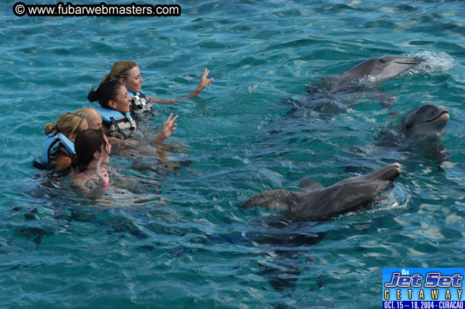 Sunday's Dolphin Swim Adventure and Animal Encounter 2004