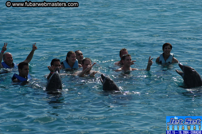 Sunday's Dolphin Swim Adventure and Animal Encounter 2004