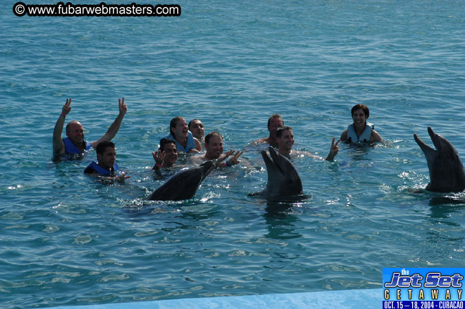 Sunday's Dolphin Swim Adventure and Animal Encounter 2004
