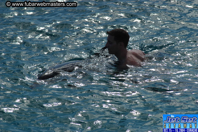 Sunday's Dolphin Swim Adventure and Animal Encounter 2004