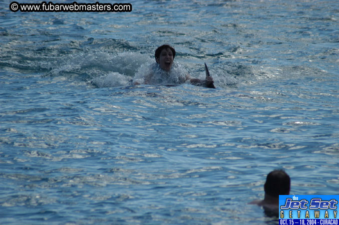 Sunday's Dolphin Swim Adventure and Animal Encounter 2004