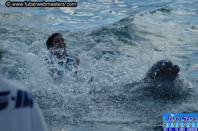 Sunday's Dolphin Swim Adventure and Animal Encounter 2004