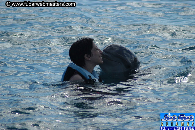 Sunday's Dolphin Swim Adventure and Animal Encounter 2004