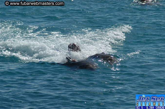 Sunday's Dolphin Swim Adventure and Animal Encounter 2004