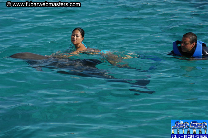 Sunday's Dolphin Swim Adventure and Animal Encounter 2004
