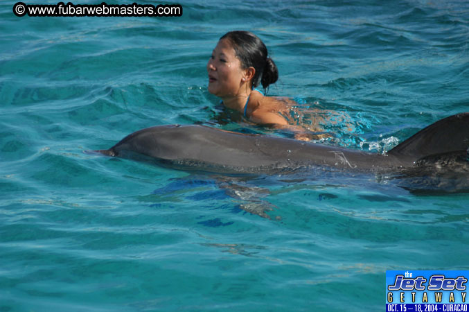 Sunday's Dolphin Swim Adventure and Animal Encounter 2004