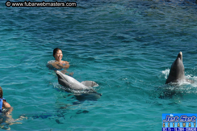 Sunday's Dolphin Swim Adventure and Animal Encounter 2004