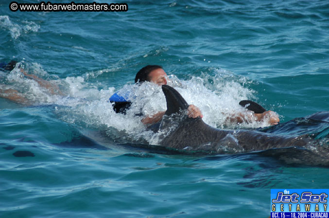 Sunday's Dolphin Swim Adventure and Animal Encounter 2004