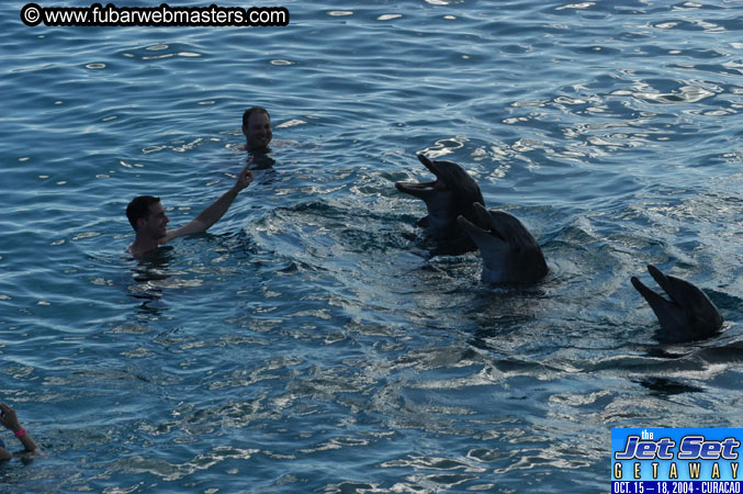 Sunday's Dolphin Swim Adventure and Animal Encounter 2004
