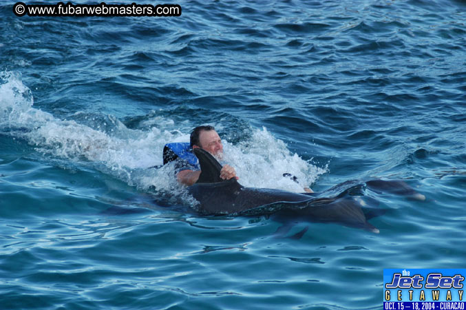 Sunday's Dolphin Swim Adventure and Animal Encounter 2004