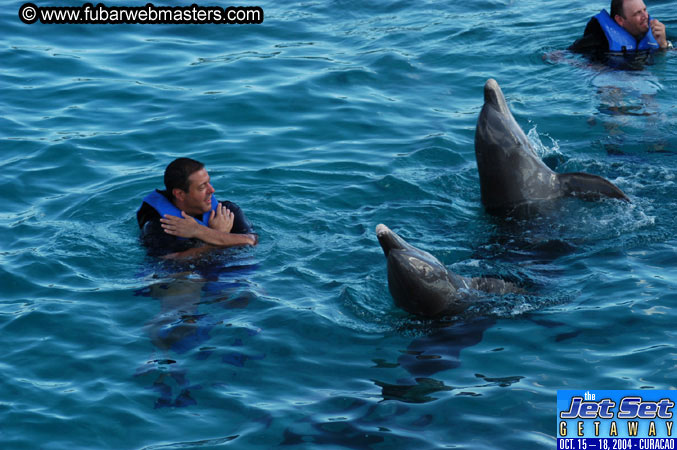 Sunday's Dolphin Swim Adventure and Animal Encounter 2004