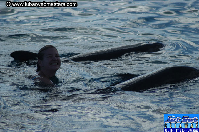 Sunday's Dolphin Swim Adventure and Animal Encounter 2004