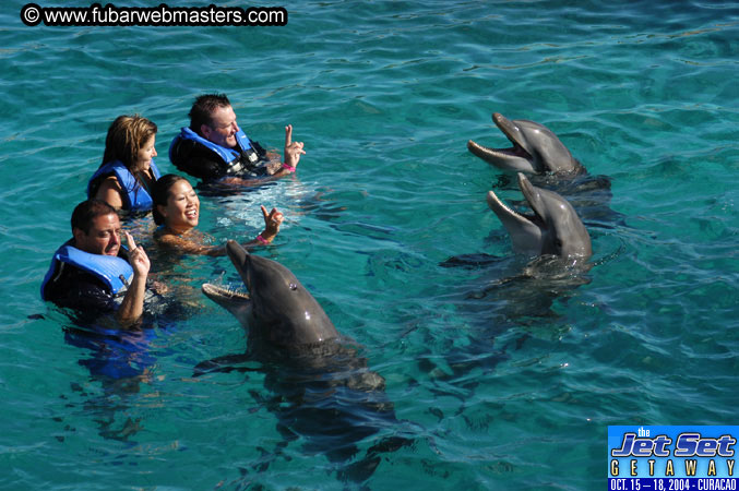 Sunday's Dolphin Swim Adventure and Animal Encounter 2004