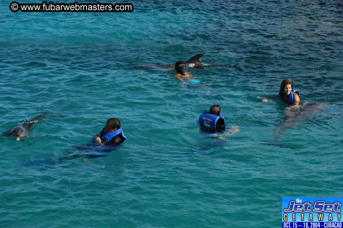 Sunday's Dolphin Swim Adventure and Animal Encounter 2004