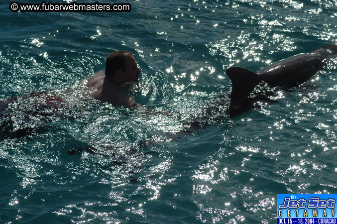 Sunday's Dolphin Swim Adventure and Animal Encounter 2004