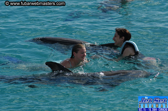 Sunday's Dolphin Swim Adventure and Animal Encounter 2004