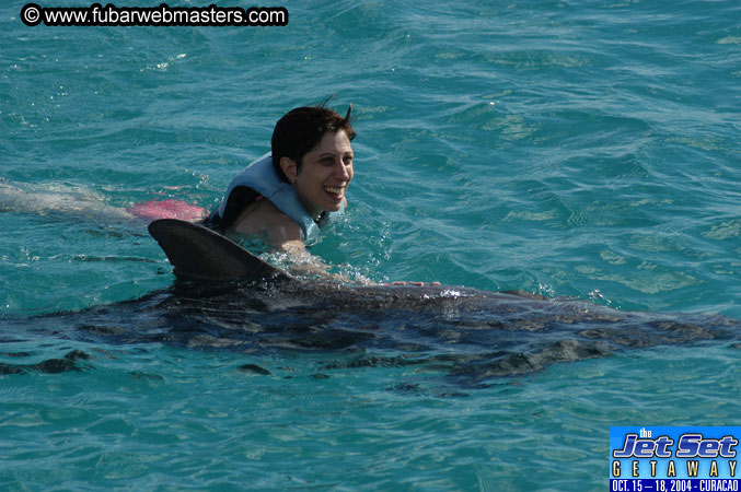 Sunday's Dolphin Swim Adventure and Animal Encounter 2004
