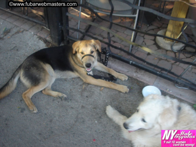 Copulation Conference 2005