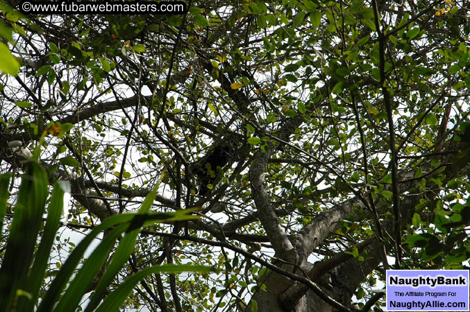 Xcaret Xotica Xperiencia 2005