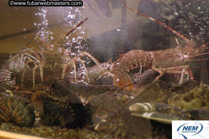 Tuesday, November 9, 2004 2004