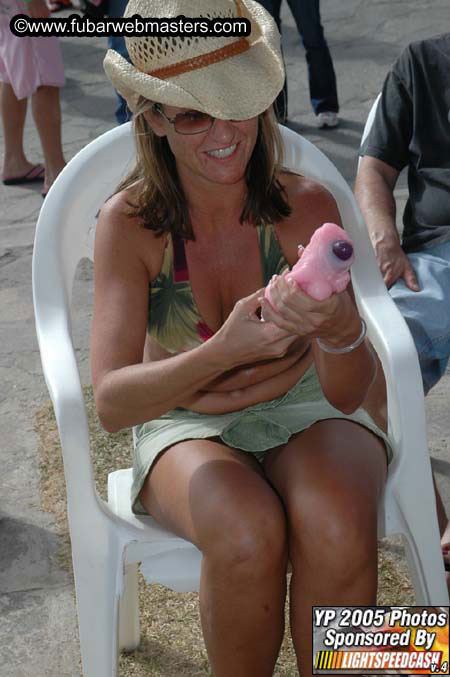 Saturday Afternoon Sex Show 2005